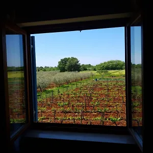 Apartment&rooms Hacienda Stelio , Porec Croazia